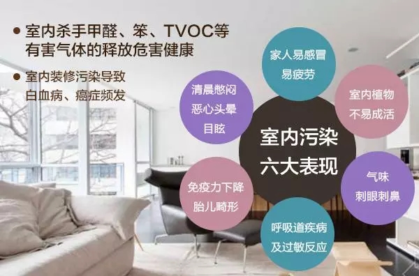 裝修污染早已伸向了學校？中學生無緣高考的背后是什么？